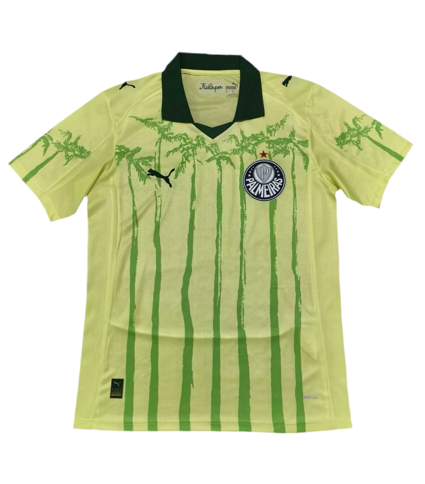 Palmeiras 2025 Concept Kit 2