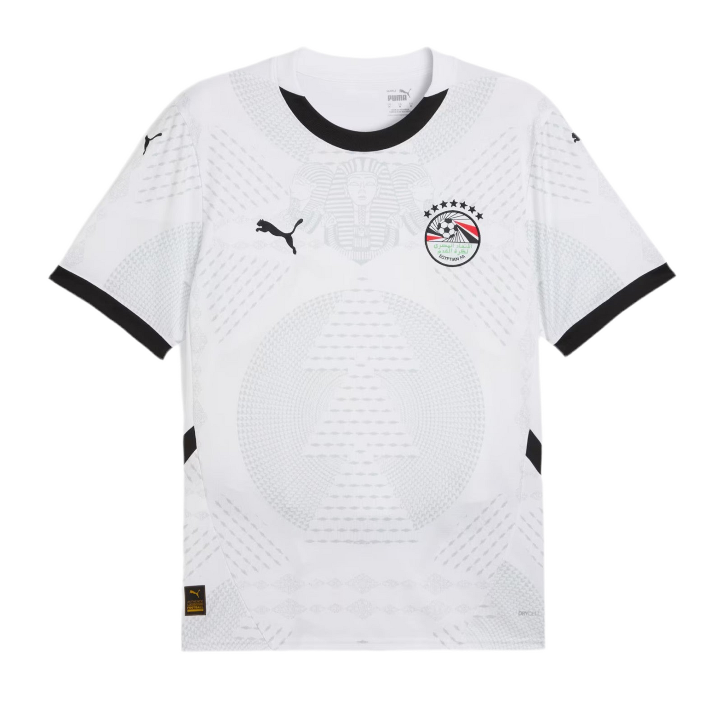 Egypt 24/25 Away Kit
