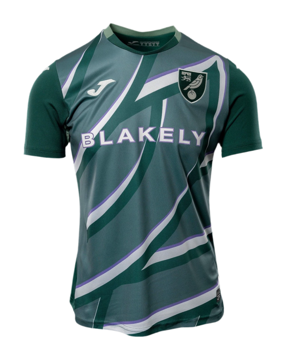 Norwich City 25/26 Away Kit