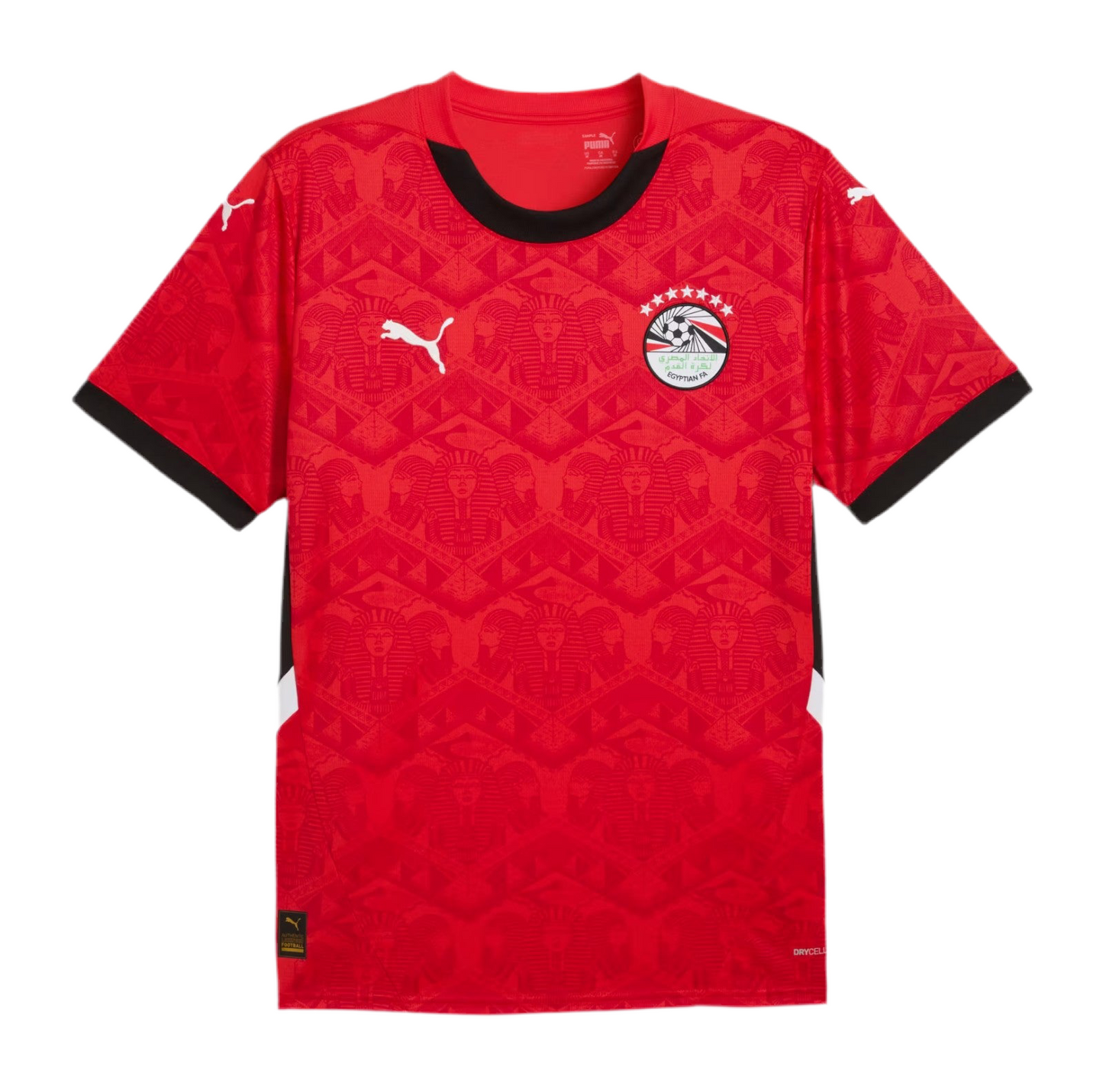 Egypt 24/25 Home Kit