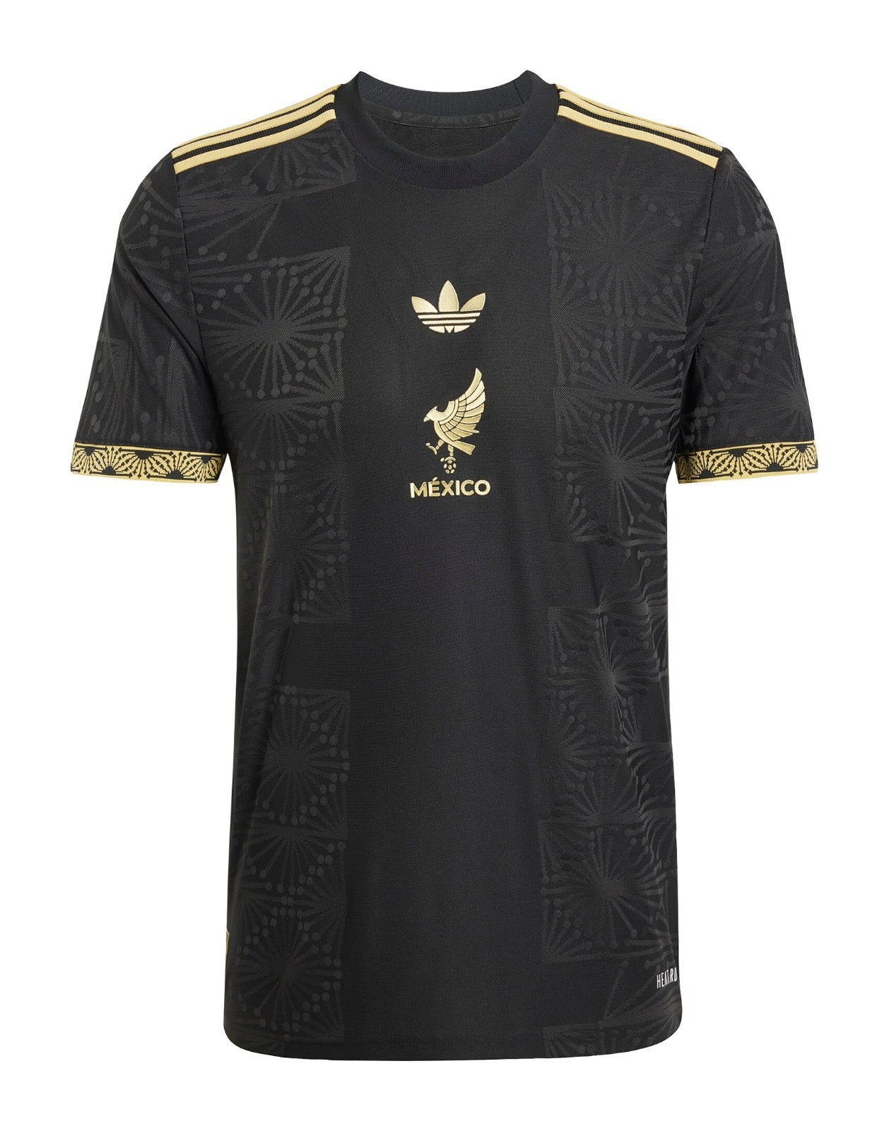 Mexico 2025 Home Kit