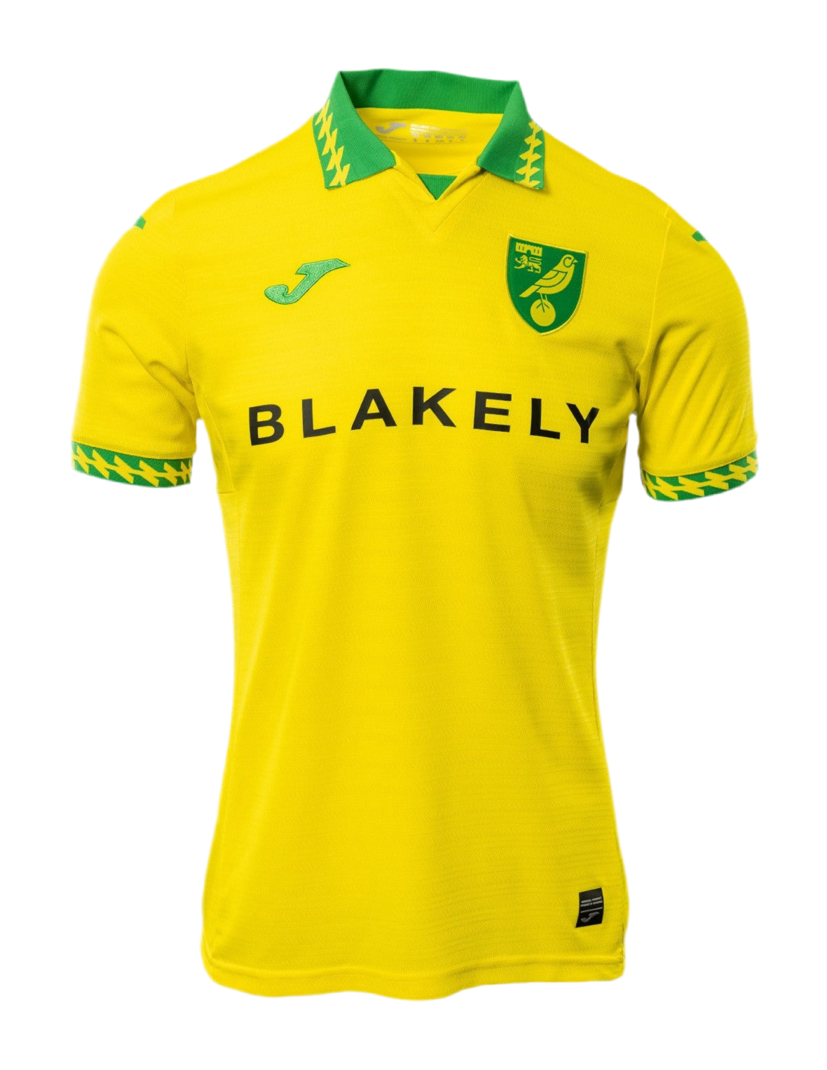 Norwich City 25/26 Home Kit