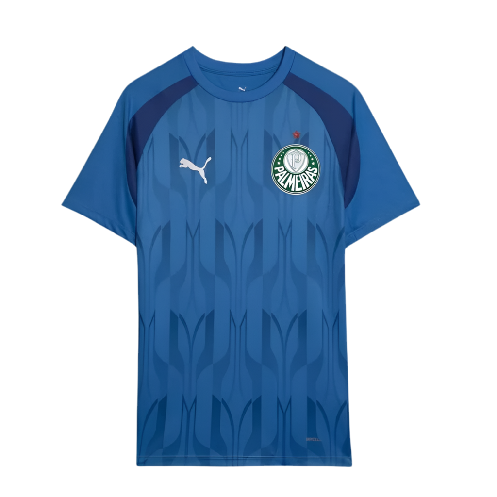 Palmeiras 2024 Pre-Match Goalkeeper Kit