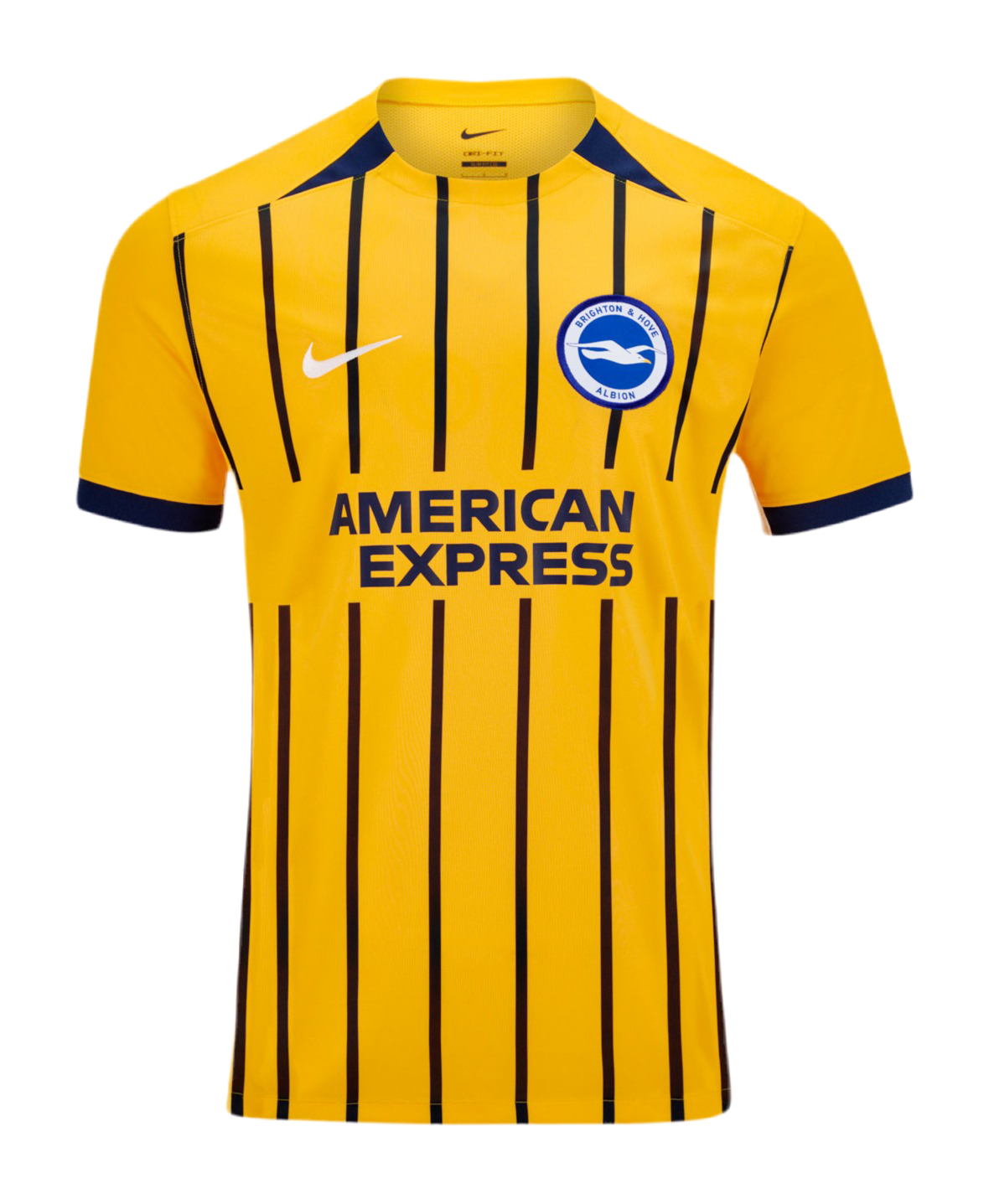 Brighton 25/26 Third Kit