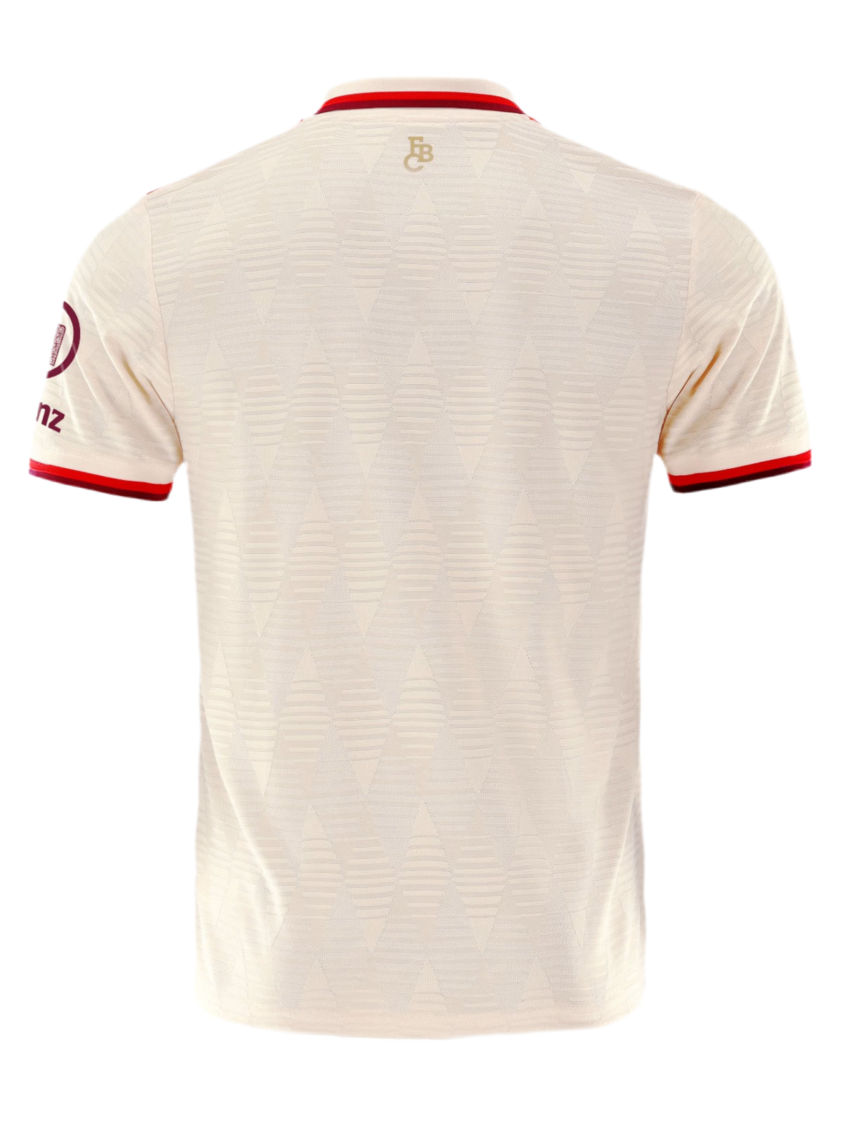 Bayern München 24/25 Third Kit