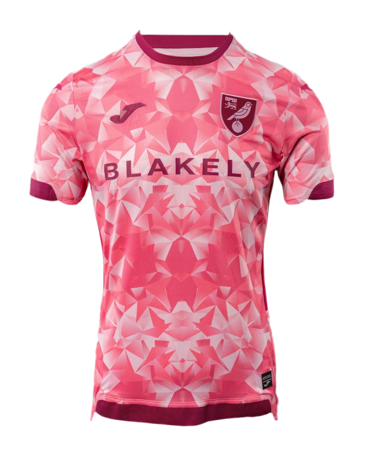 Norwich City 25/26 Third Kit