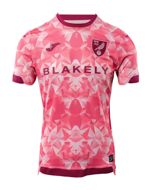 Norwich City 25/26 Third Kit