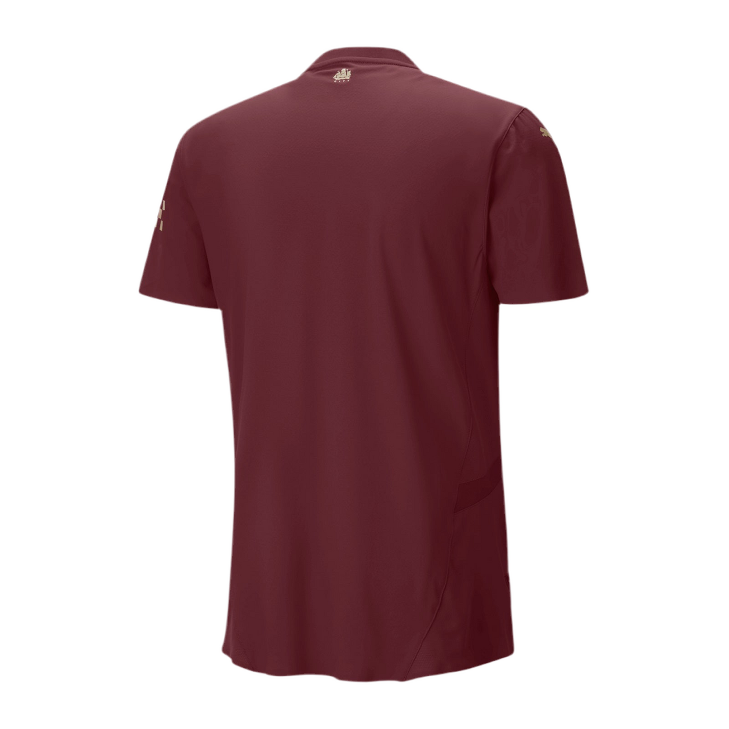 Manchester City 24/25 Third Kit