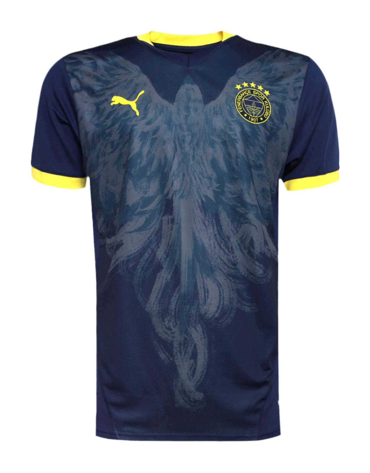 Fenerbahçe 24/25 Fourth Kit